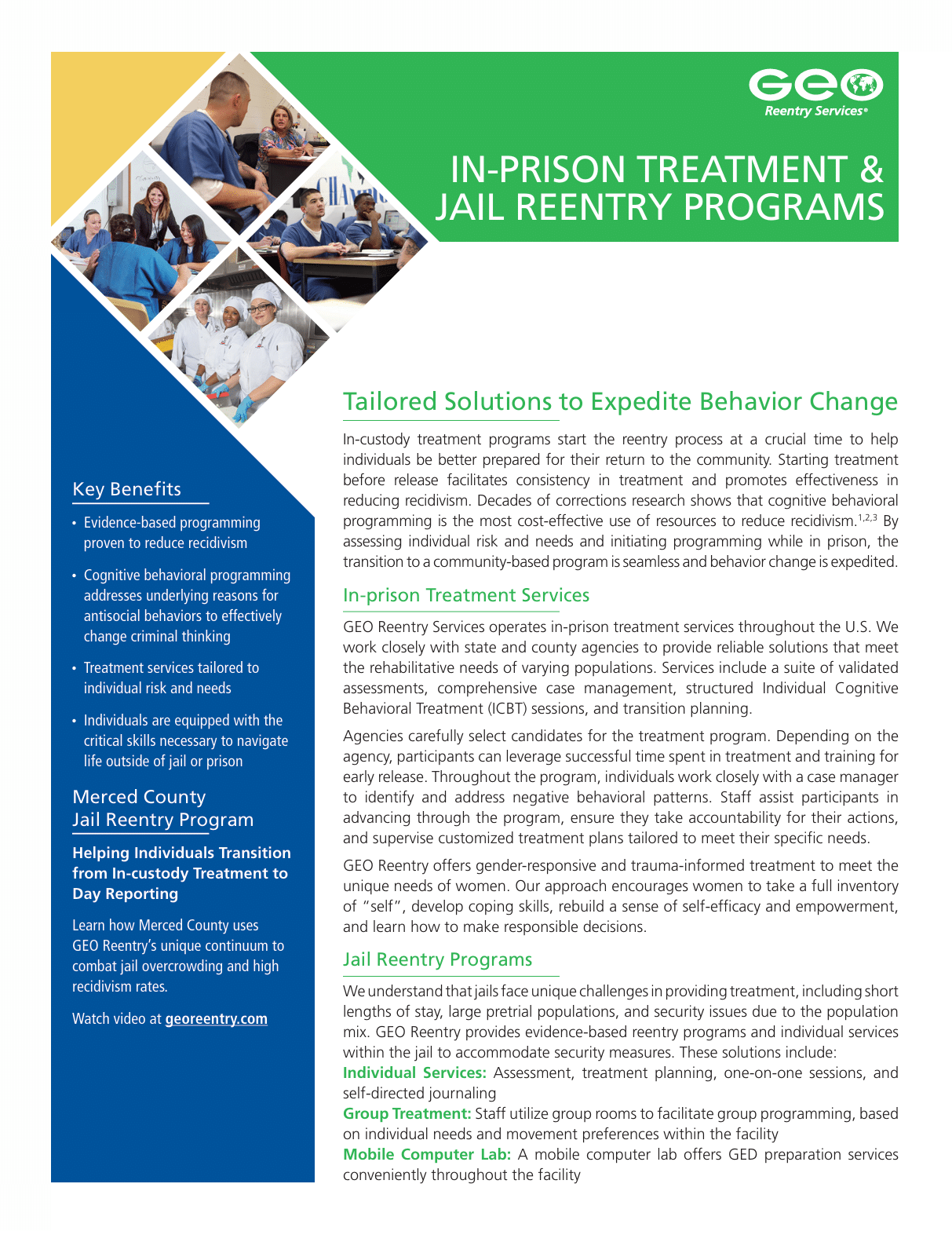 Download In-custody Treatment Fact Sheet